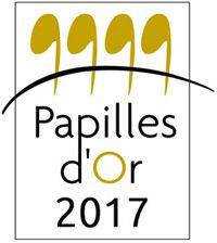 papilles d'or (8)